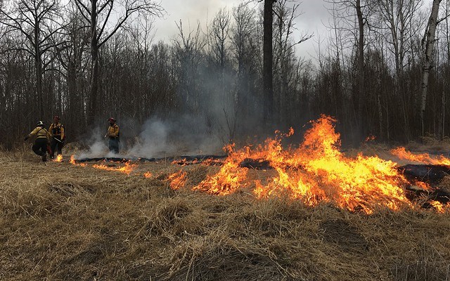 Fighting wildfires like the one pictured above is thought to place firefighters at risk of asthma, l