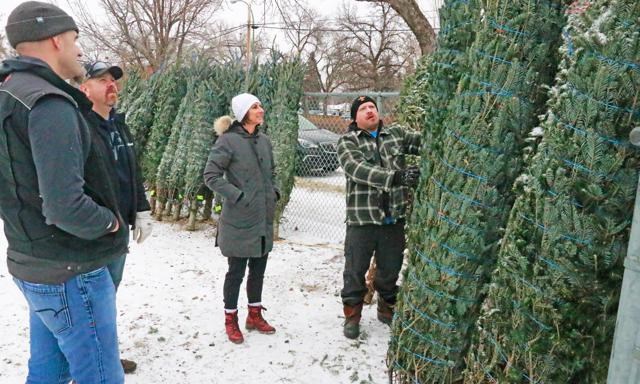 Young Fellows tree lot