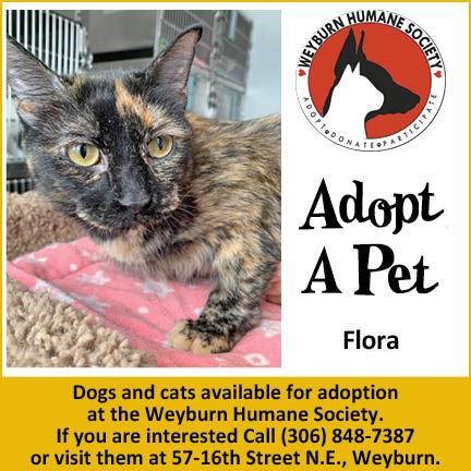 Adopt Pet Flora