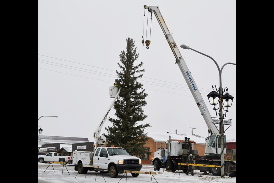 Carlyle’s Christmas tree was put into place for the upcoming holiday season on Friday, Nov. 29.