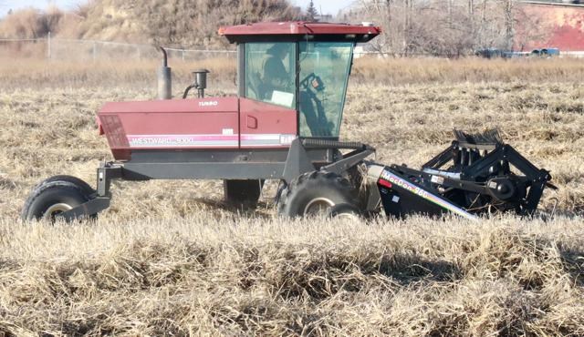 Swathing