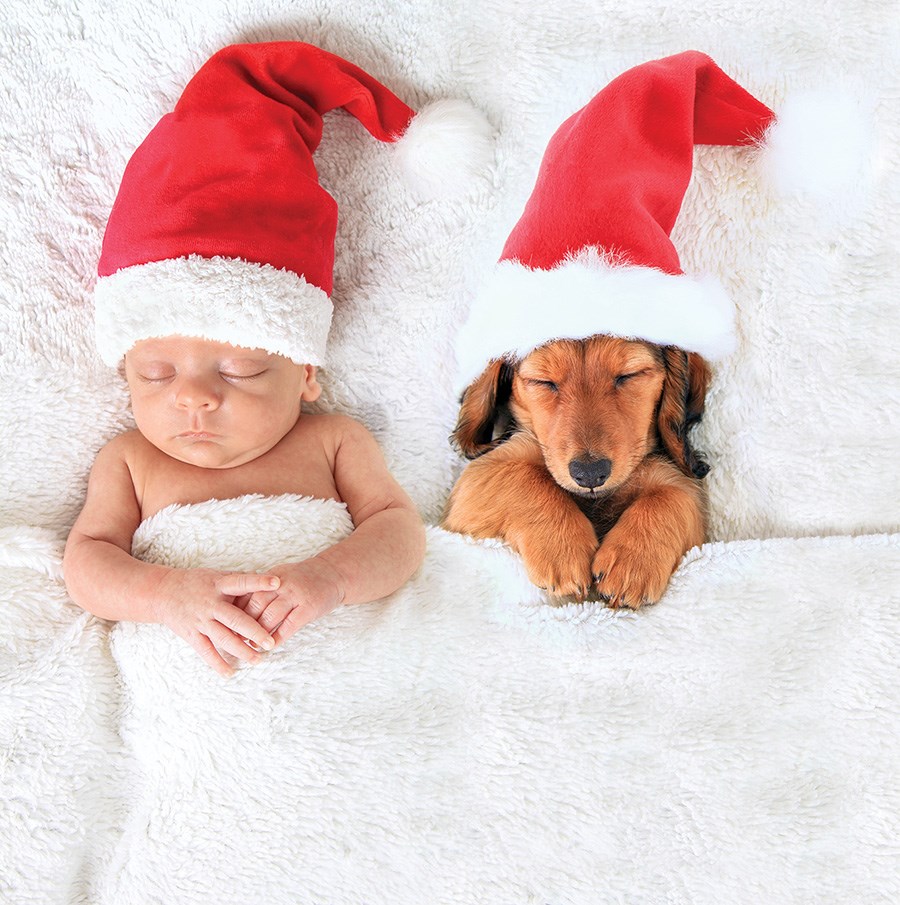 Top 10 Puppy Names for 2019 _7
