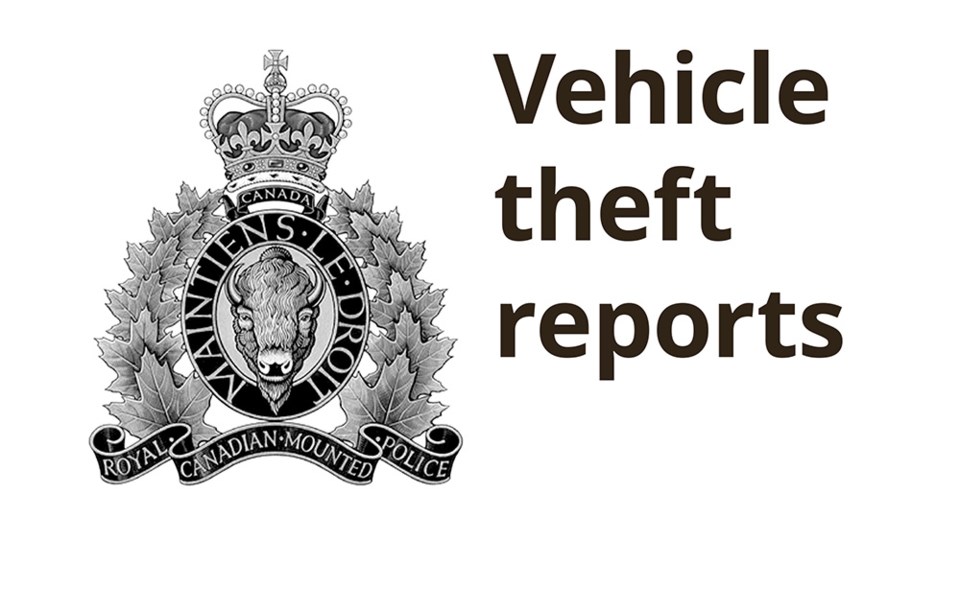 vehicle theft reports