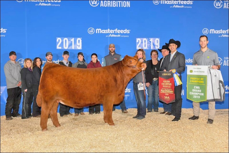 Congratulations to Ashton and Kendra Hewson, of Double B Cattle Co. of Unity, who were awarded the 2019 Grand Champion Limousin female at Canadian Western Agribition. Photo courtesy of Show Champions Photography
