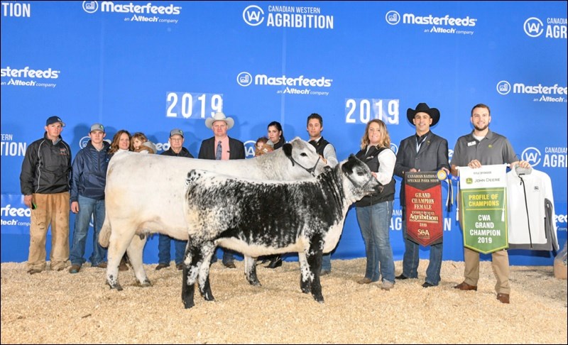 Grand Champion Speckled Park Female was shown by River Hill Farms.