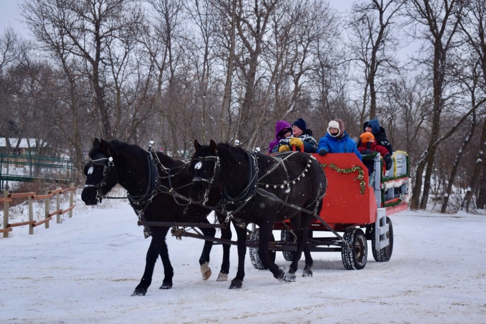 Sleigh-rides were one of the most popular activities during Christmas at the Park. Photo by Anastasiia Bykhovskaia