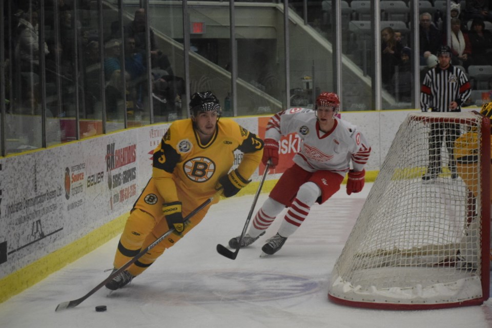 Bruins Ludwar