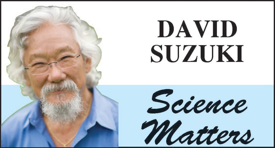 David Suzuki