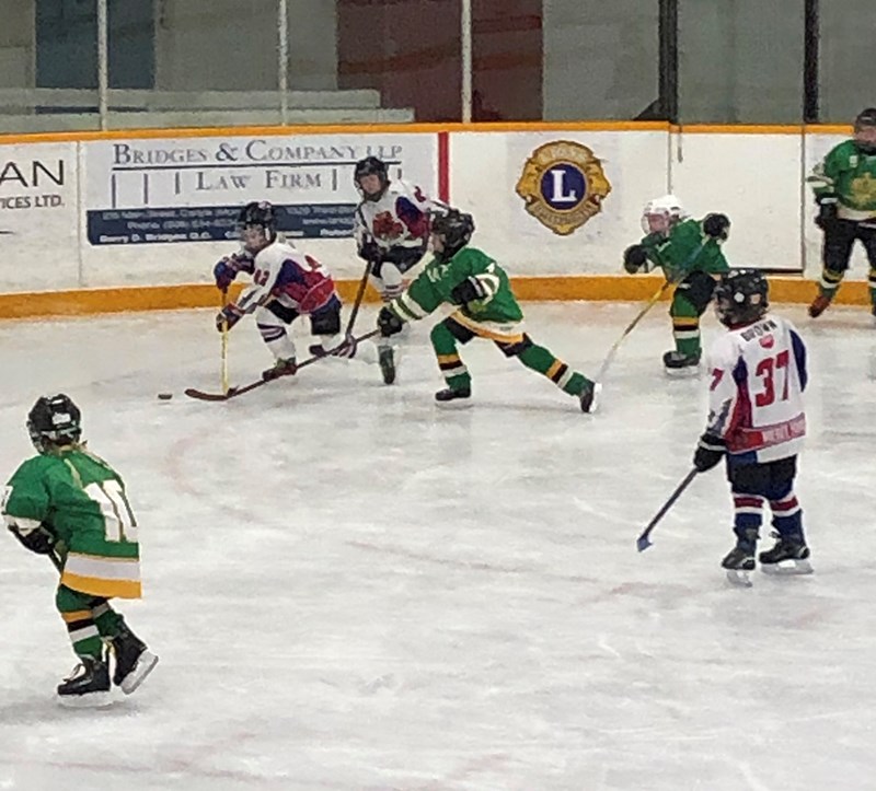 Novice Cougars