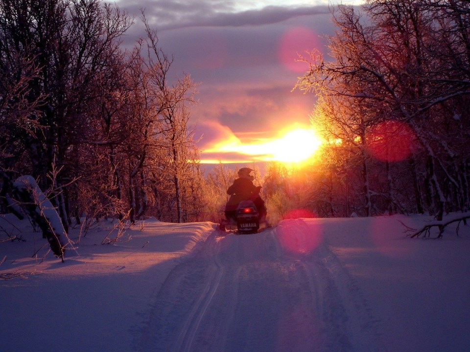 sledding