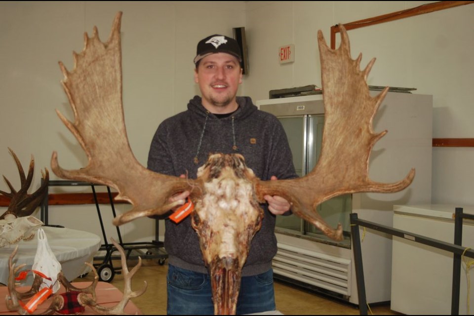 Arden Jakubowski of Preeceville had his moose antlers scored during the Preeceville Wildlife antler measuring on January 4 in Preeceville.