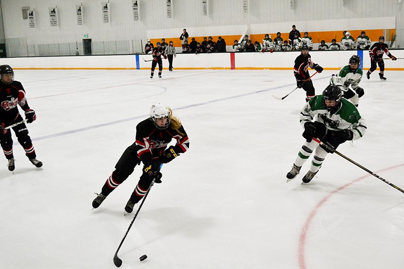 Arcola Minor Hockey Day