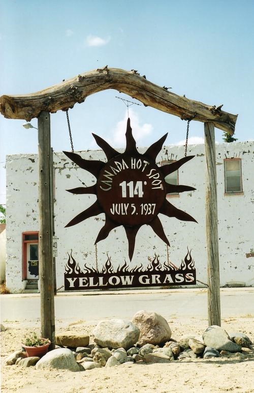 Yellow Grass news