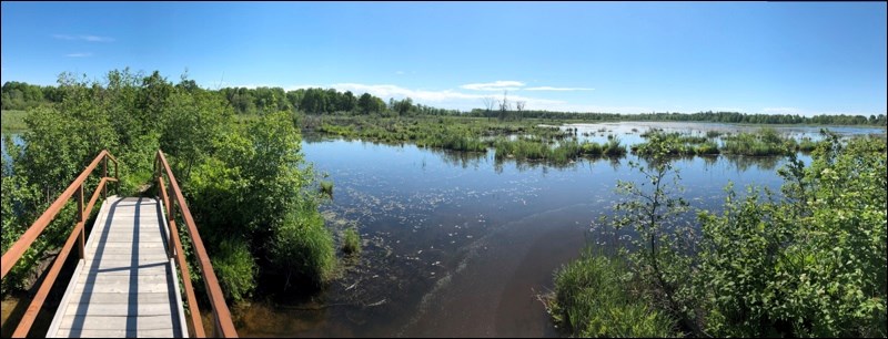 wetlands