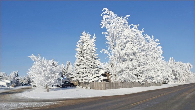 People may have disliked lingering fog at the tail end of January, however the environment created a