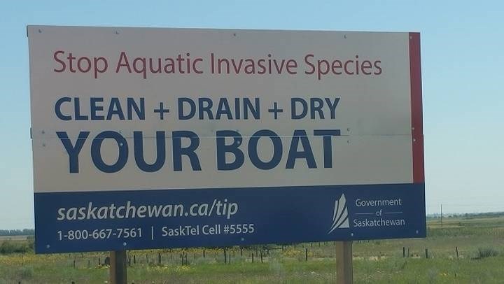 aquatic invasive species