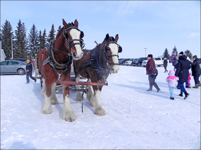 Unity and District Heritage museum hosted a family fun day event on Feb. 17, complete with popular bonfire and horse drawn sleigh rides amongst some of the activity put on as part of Family Day festivities. Photos by Sherri Solomko