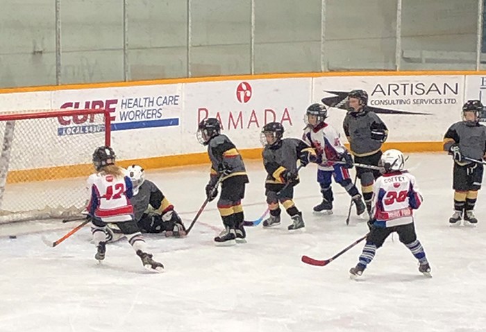 Novice Cougars (Chris)
