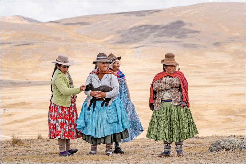 An Edam alpacha rancher and her daughter made a journey to Peru last fall to witness the rounding up of a herd of wild vicuña, whose prized fibres can bring wealth to a community. In the photo are Peruvian elders waiting for the roundup, or chaccu, to start. Photo by Wasim Miklashy