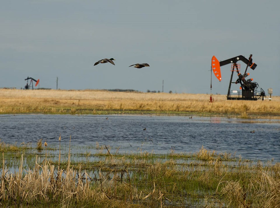 Pumpjacks near Arcola old