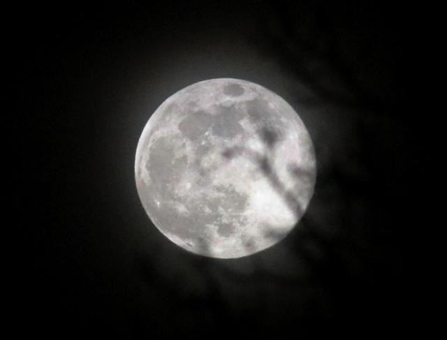 Weyburn's pink super moon