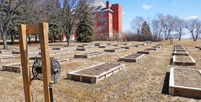 City community gardens