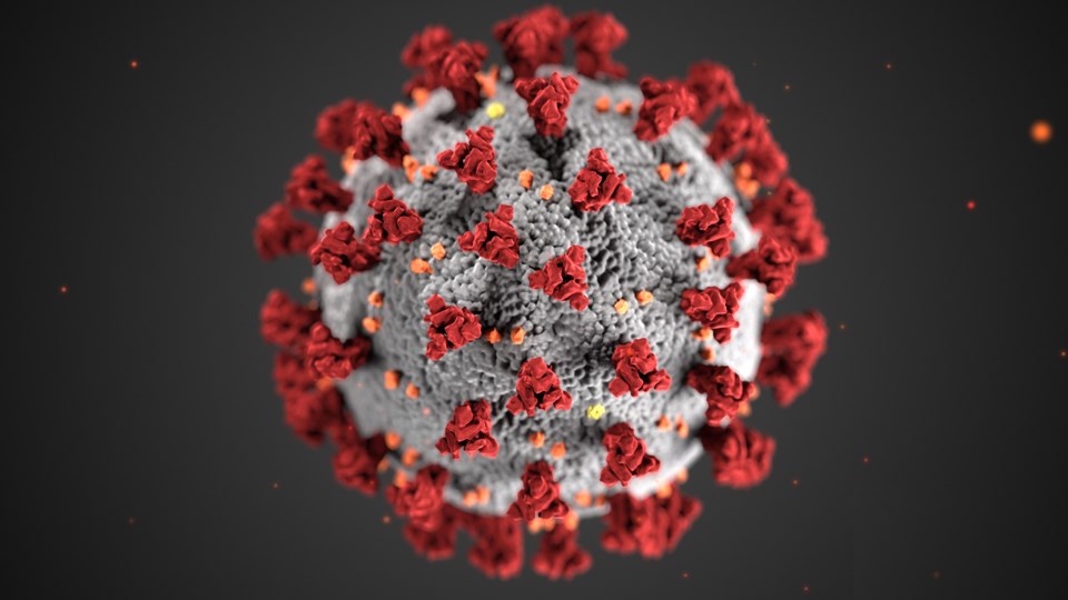 Coronovirus