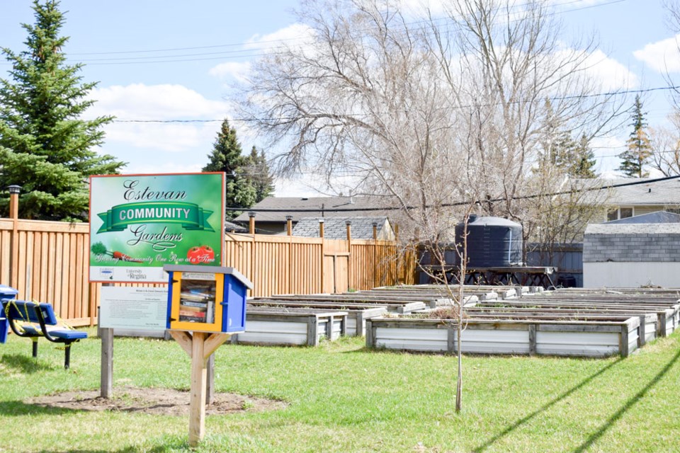 Estevan community garden