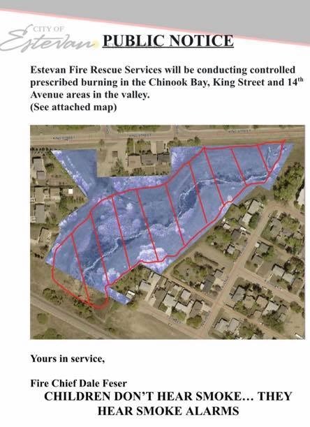 Prescribed burn area.