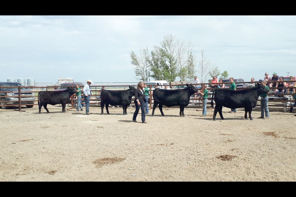 Last year’s Alameda 4-H sale attracted many buyers and was a success. Even though this year the format will be very different, the organizers still hope to see as much interest. Photo submitted