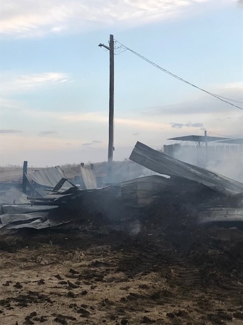 Feed lot