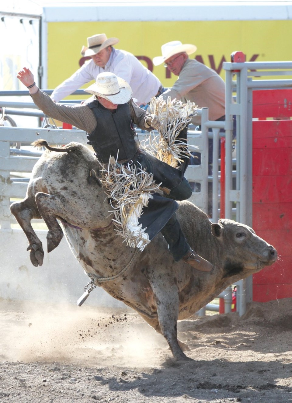 Rodeo