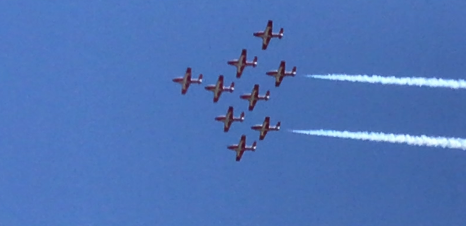 snowbirds