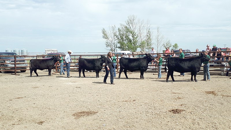 Last year’s Alameda 4-H sale attracted many buyers and was a success. Even though this year the format will be very different, the organizers still hope to see as much interest.
