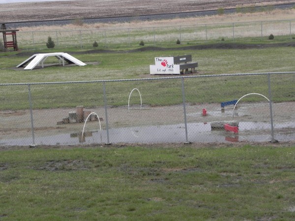 Unity`s dog park is sporting puddle fun for puppies after recent rains. Photos by Sherri Solomko