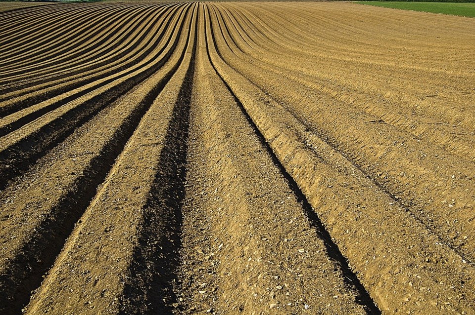 Seeding