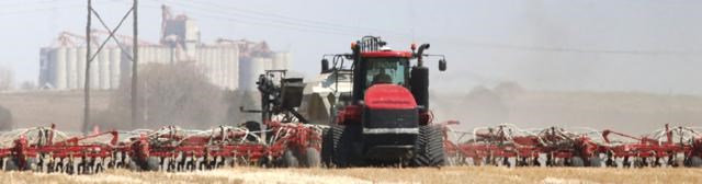 Mainil seeding