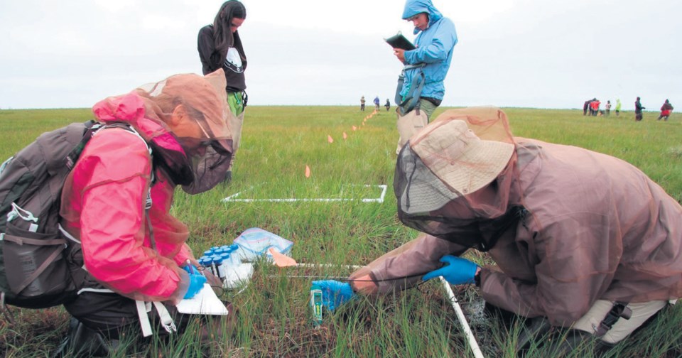 U of S research