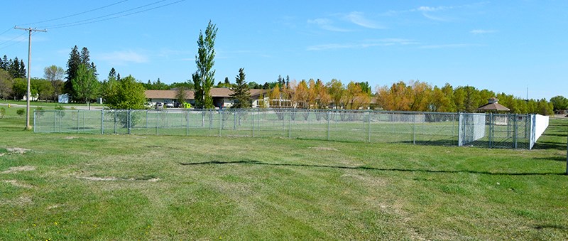 Dog park in Carlyle