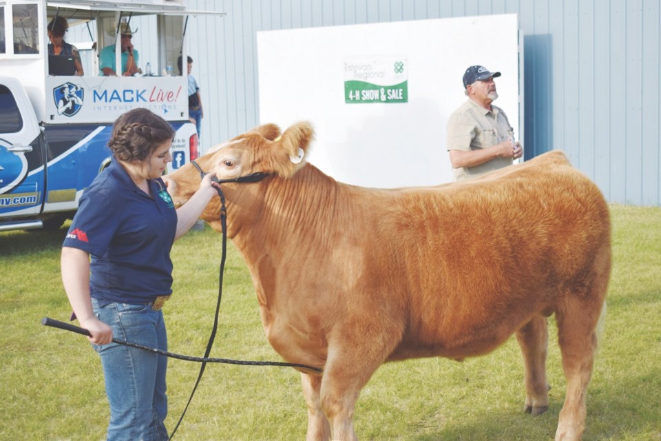 Regional 4-H Show and Sale in Estevan