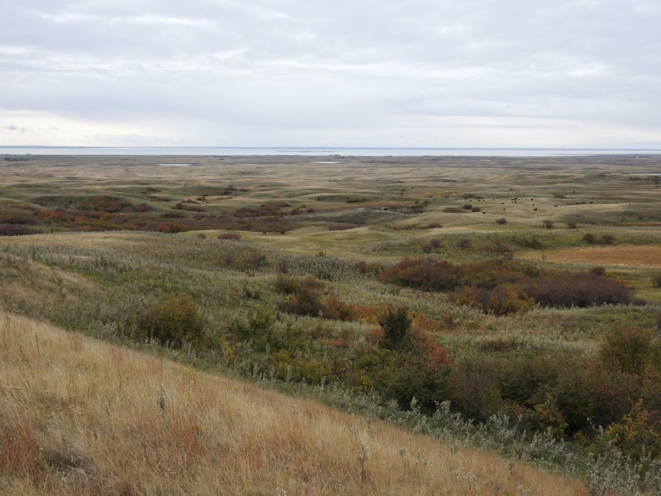 Prairie