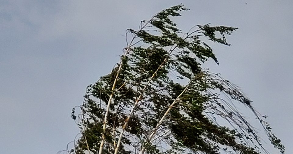 Wind