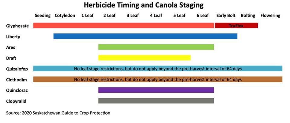 This graph shows the window of application based on crop stage for herbicides used in canola.