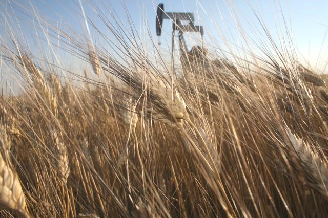 wheat and pumpjack