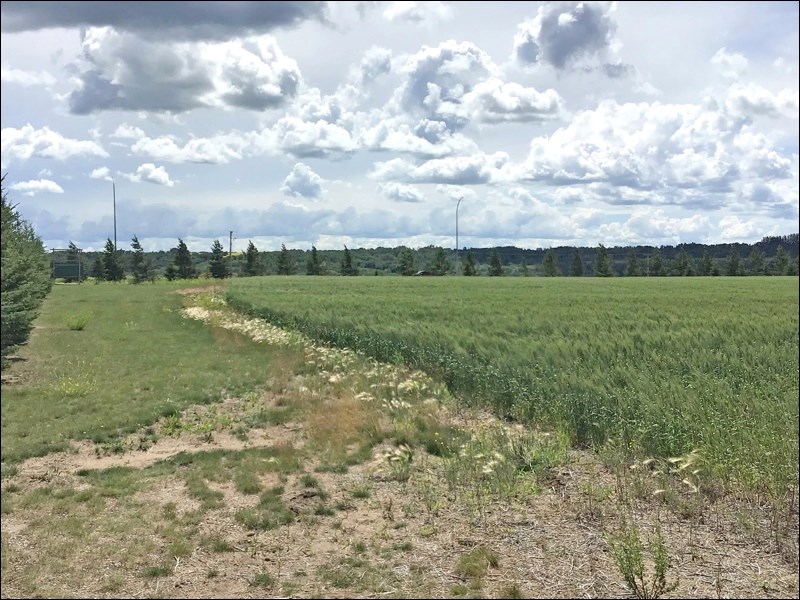 Country Estates next development in the Battleford West plans_1