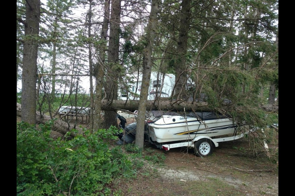 This boat was all that was holding up a fallen spruce tree.