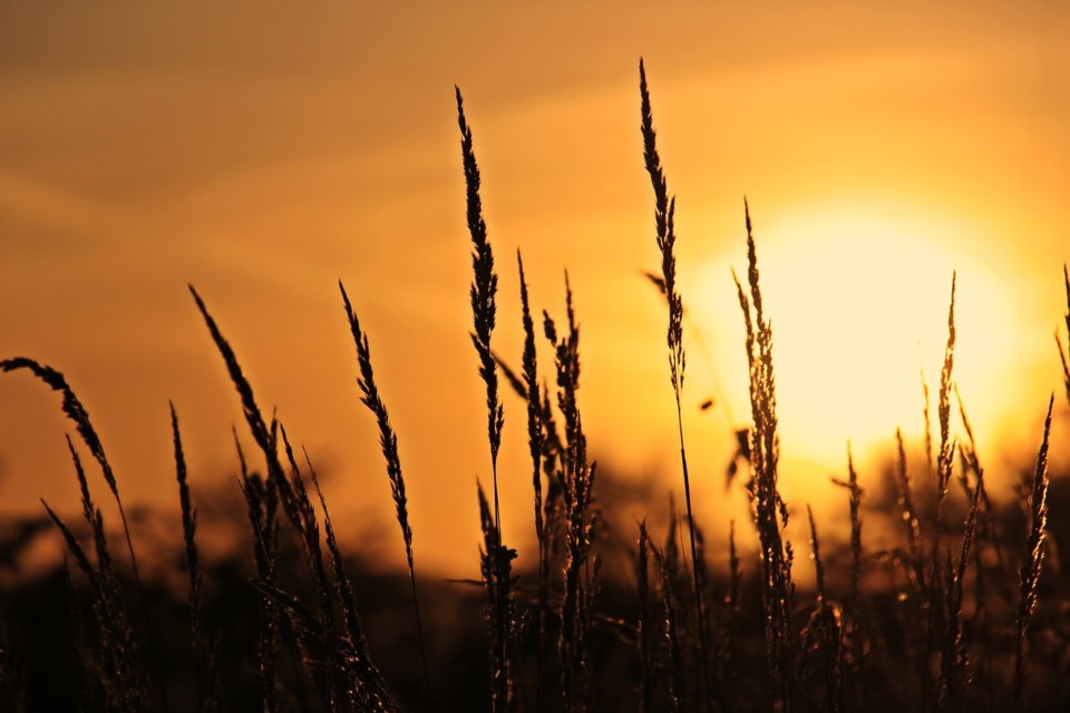 sunrise-3712483_1280