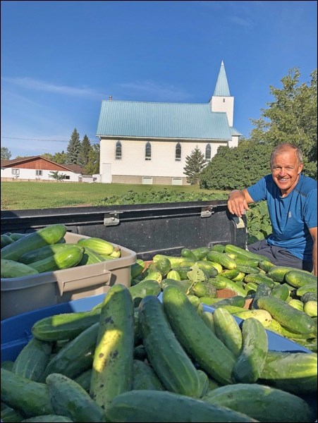Church Cucumbers! The North Battleford Food Bank was the happy recipient of 462 pounds of cucumbers