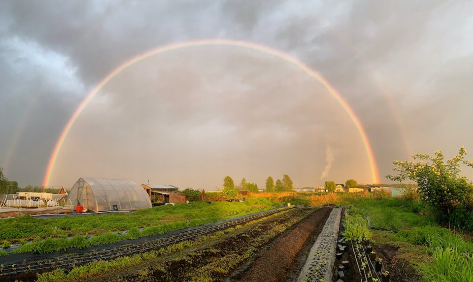 Healthy soil