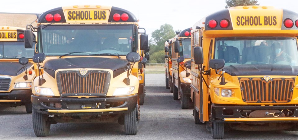 school buses